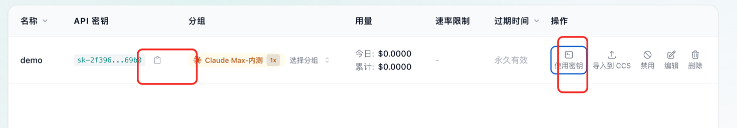 复制API Key